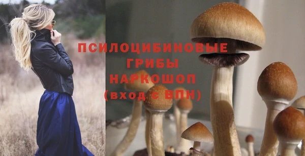 ПСИЛОЦИБИНОВЫЕ ГРИБЫ Алексеевка