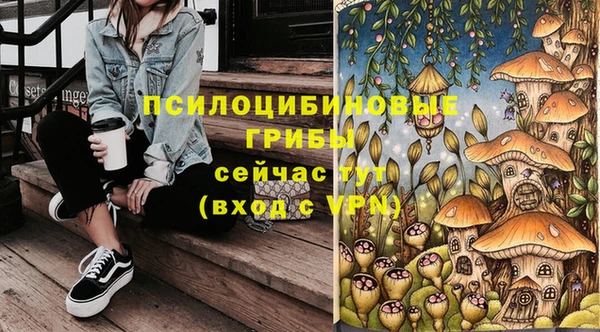 ПСИЛОЦИБИНОВЫЕ ГРИБЫ Алексеевка