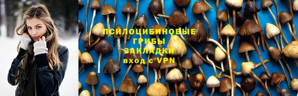 каннабис Алзамай