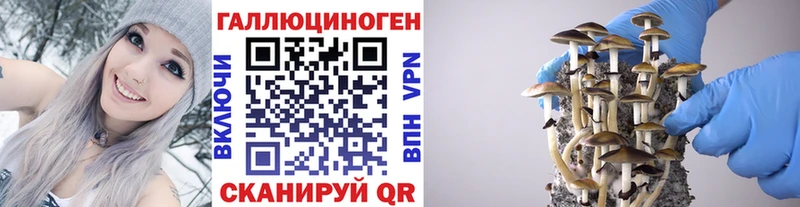 Галлюциногенные грибы мухоморы  Бирюч 